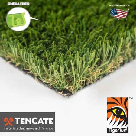 EVERGLADE FESCUE