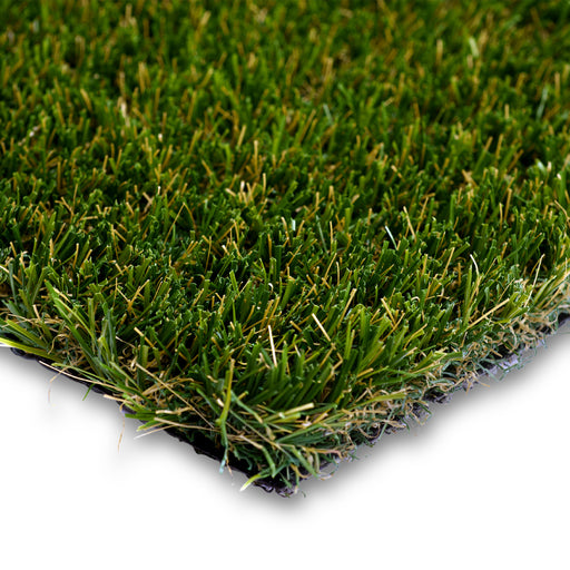 Catalina product image