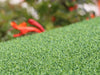 Global Syn-Turf Putt-60 BiColor
