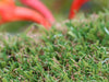 Global Syn-Turf Star Grass-35