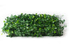 Global Syn-Turf Hawthorn Dark Hedge