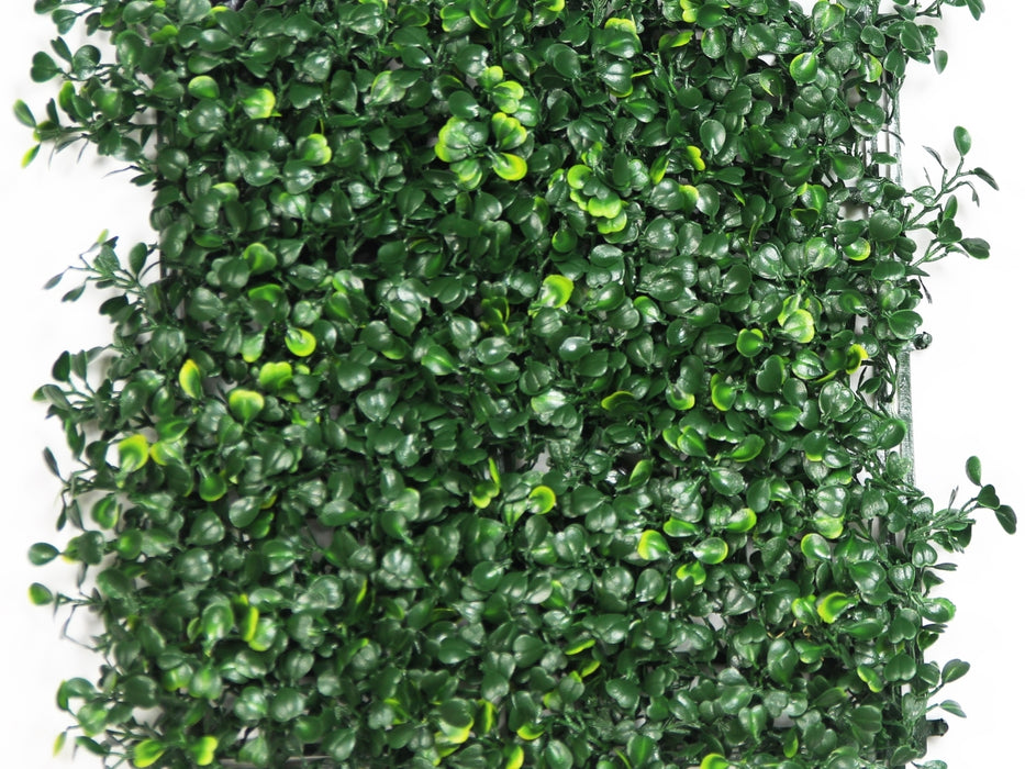 Global Syn-Turf Hawthorn Dark Hedge