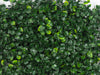 Global Syn-Turf Hawthorn Dark Hedge