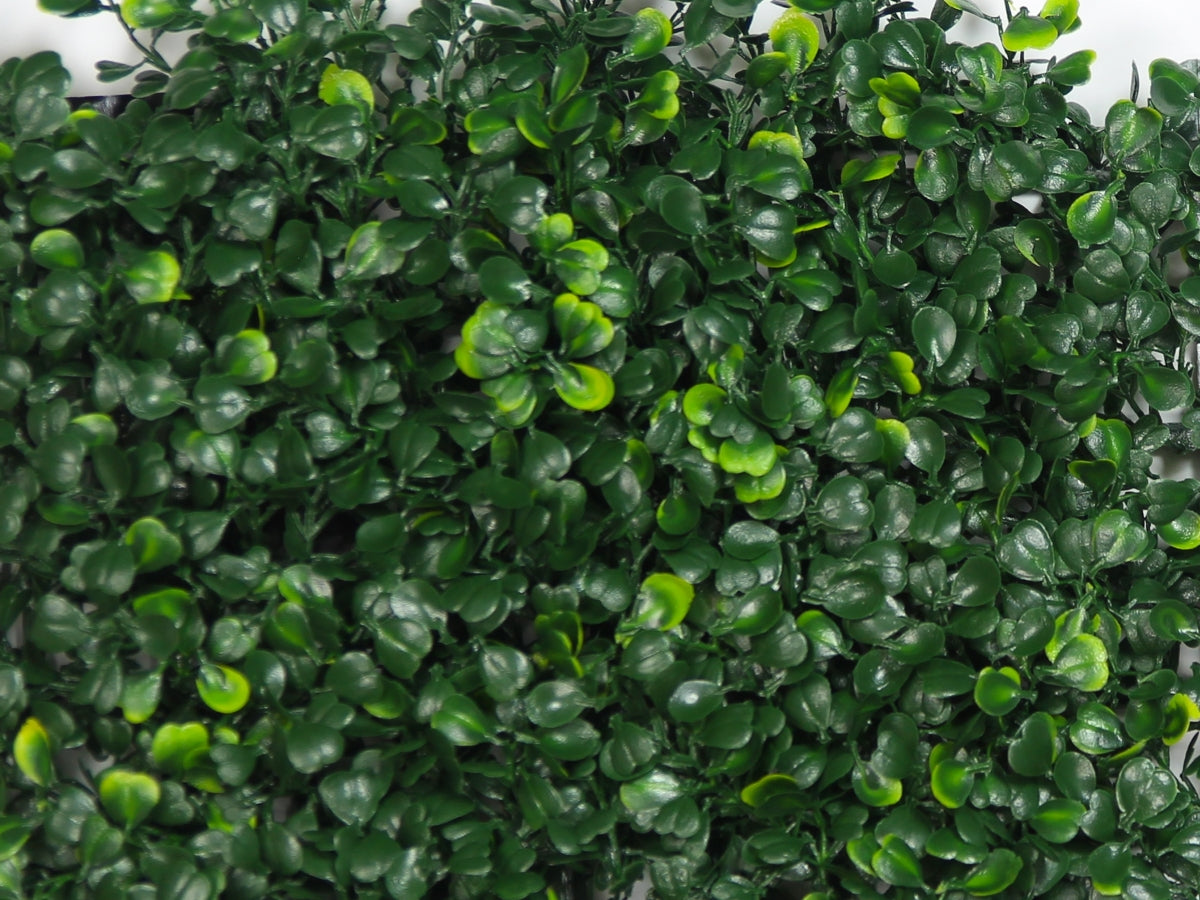 Hedge