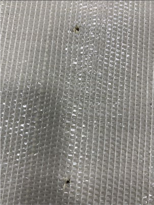 Global Syn-Turf Putting Green Shock Pad - 6.35 mm