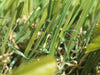 Global Syn-Turf S Blade-66