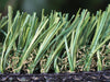 Global Syn-Turf S Blade-50
