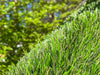 Global Syn-Turf Super Natural Lite