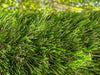 Global Syn-Turf Super Natural Lite