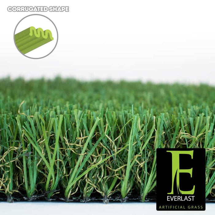 MALIBU FESCUE