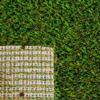 PET TURF